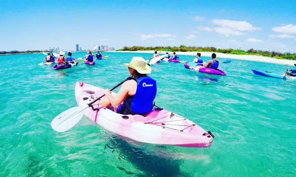 Sea Kayaking And Dolphin Morning Tour - Gold Coast