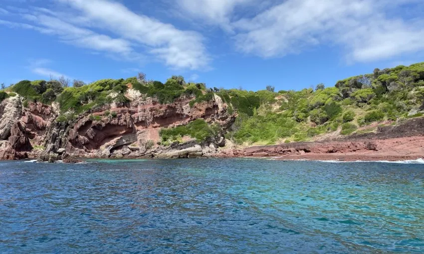 Merimbula Ocean and Wildlife Adventure, 2 Hours