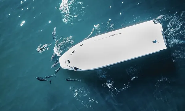 Merimbula Ocean and Wildlife Adventure, 2 Hours