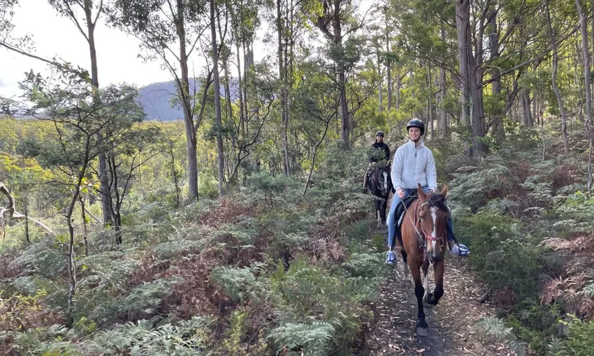 Bush Rangers Track Guided Horse Ride, 2 Hours