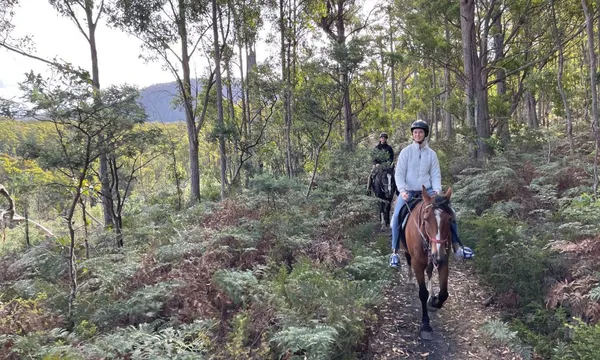 Bush Rangers Track Guided Horse Ride, 2 Hours