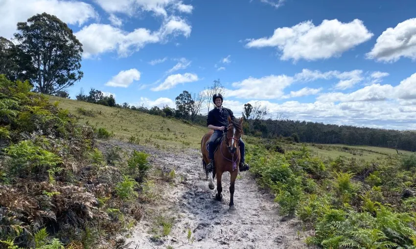 Bush Rangers Track Guided Horse Ride, 2 Hours