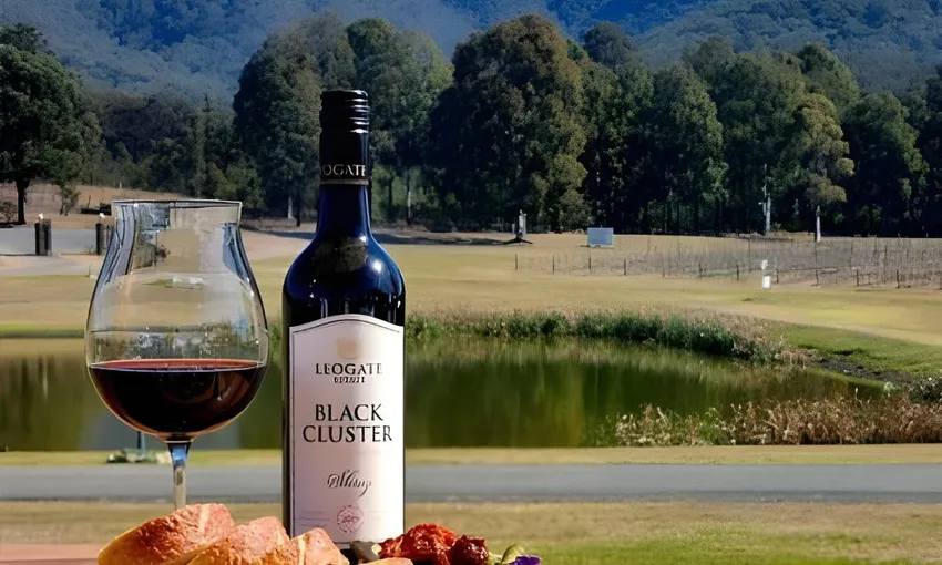 Scenic Helicopter Flight & Lunch - Hunter Valley