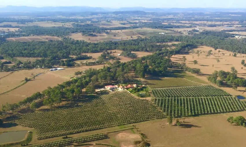 Hunter Valley Helicopter Flight, 12 Minutes