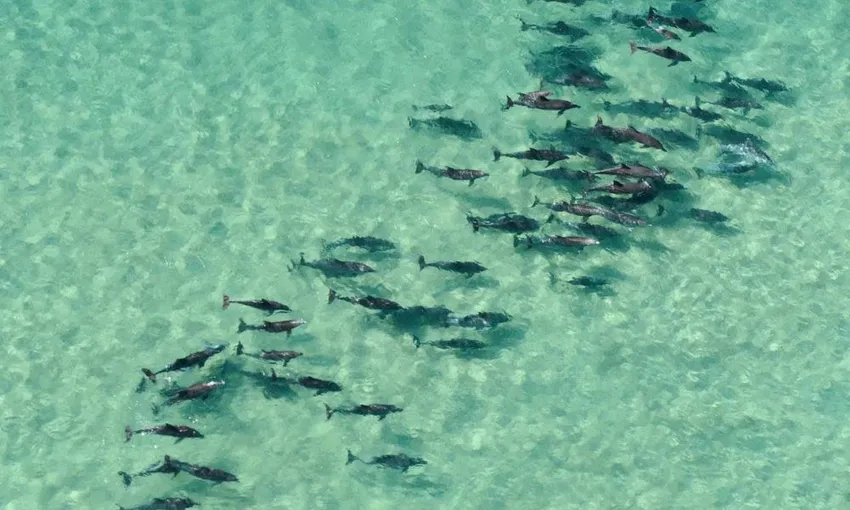 Newcastle Doors Off Helicopter Flight, 20 Minutes - For 2