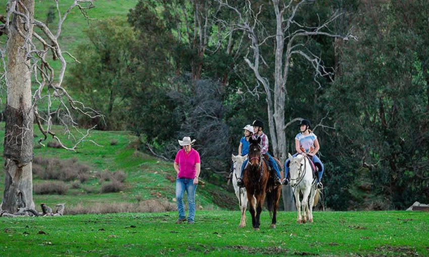 Jarrahdale Private Horse Riding Lesson for Kids, 60 Minutes
