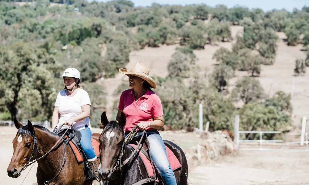 Jarrahdale Adult Private Horse Riding Lesson - 1 Hour