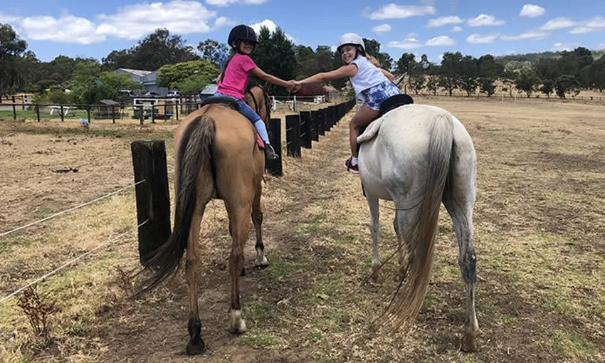 Jarrahdale Horse Trail Ride, 60 Minutes