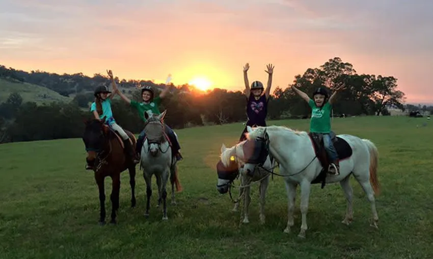 Jarrahdale Horse Trail Ride, 60 Minutes