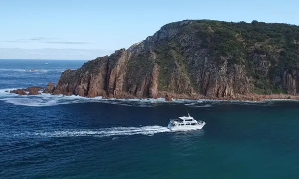 Phillip Island Cape Woolamai Cruise, 1 Hour