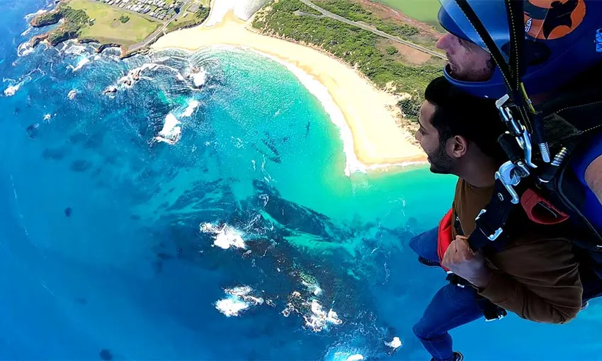 Tandem Skydive over the Yarra Valley - 15,000ft
