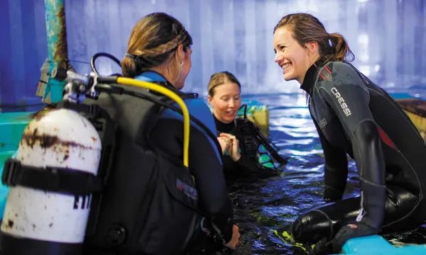 Perth Certified Dive with Sharks at The Aquarium of Western Australia