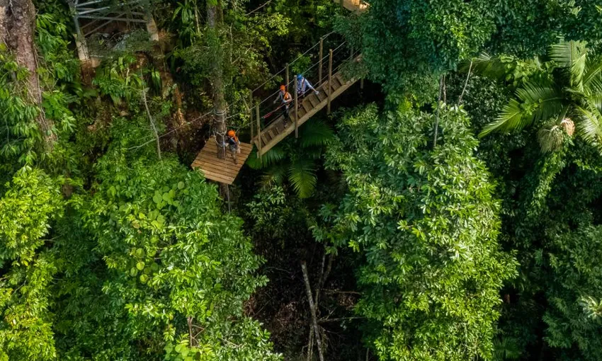 Rainforest Zipline Canopy Tour - 2 Hours