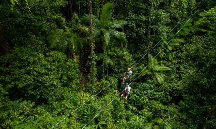 Rainforest Zipline Canopy Tour - 2 Hours