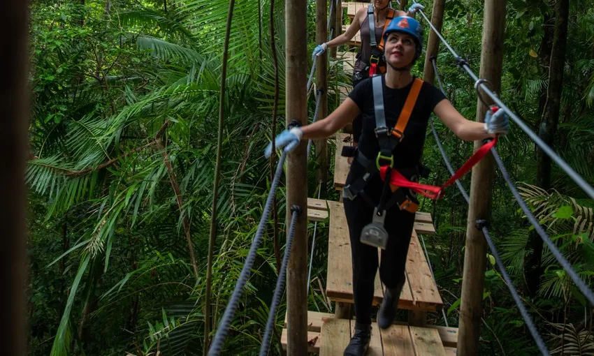 Rainforest Zipline Canopy Tour - 2 Hours