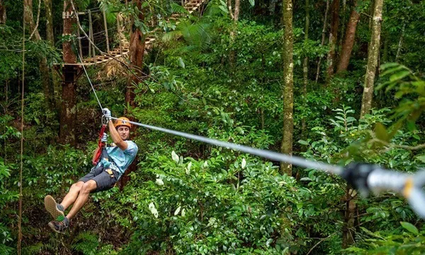 Rainforest Zipline Canopy Tour - 2 Hours