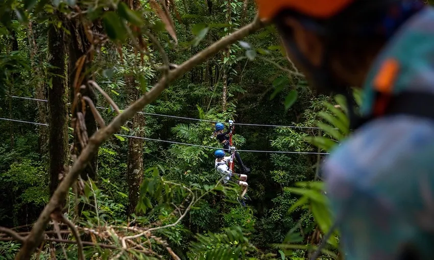 Rainforest Zipline Canopy Tour - 2 Hours