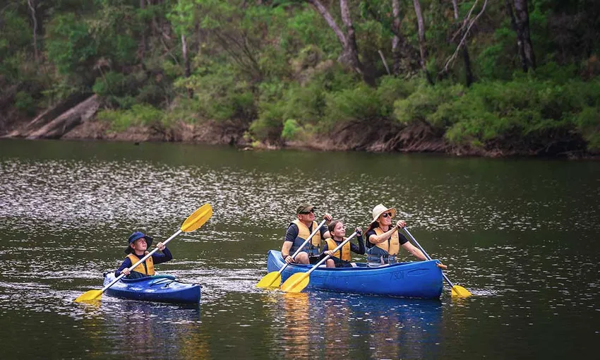 Dwellingup Self Guided Paddle & Picnic Tour, 4.5 Hours 