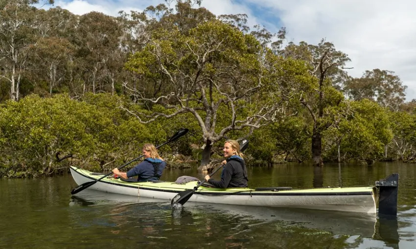 South Coast Bermagui River Kayak Tour, 3 Hours