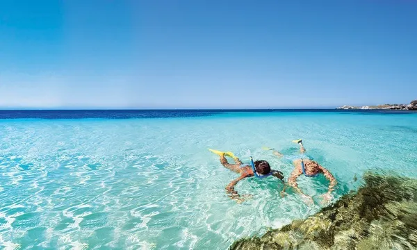 Rottnest Island Day Tour including Guided Bus Tour from Fremantle