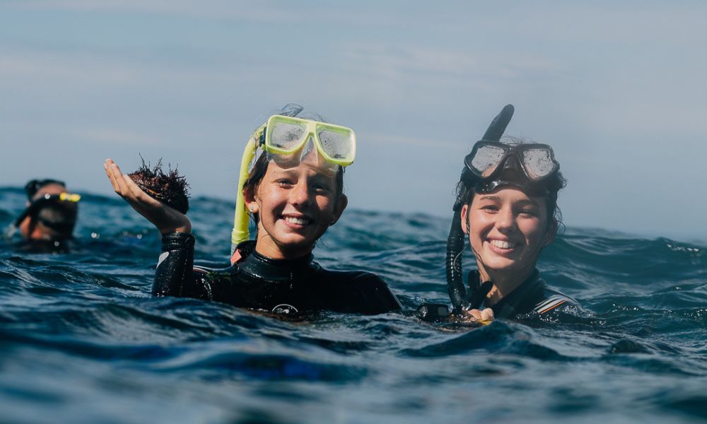 Batemans Bay Kayak and Snorkel Tour, 3 Hours