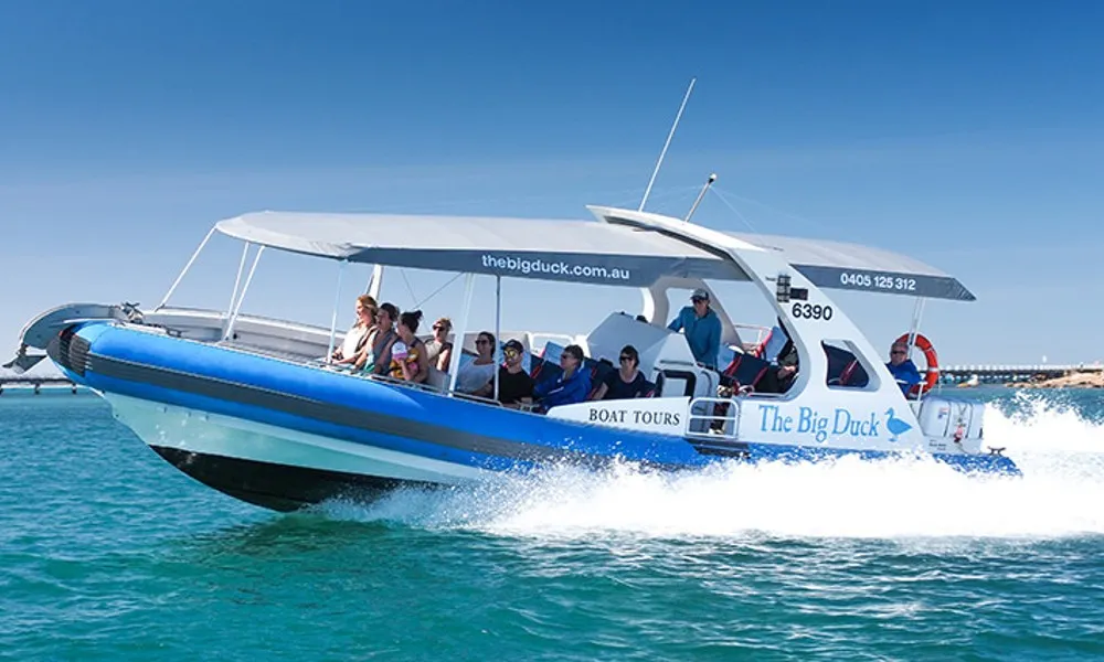 Wirrina Scenic Cruise - 60 Minutes