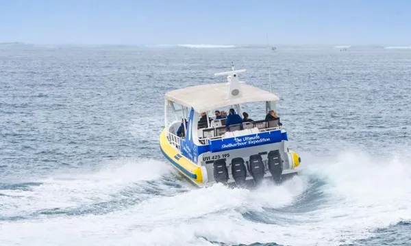 Shell Cove Eco Scenic Cruise, 2 Hours