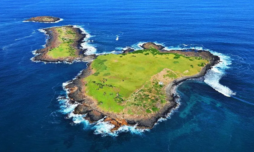 Shell Cove Eco Scenic Cruise, 2 Hours