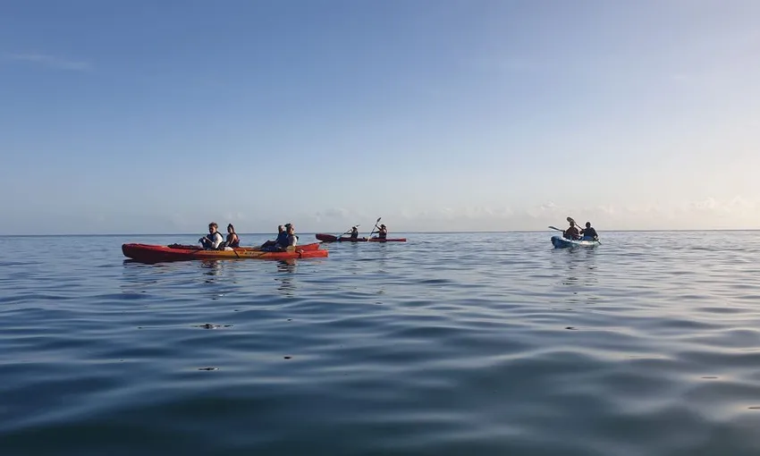 Great Barrier Reef Sunrise Kayak Tour from Cairns
