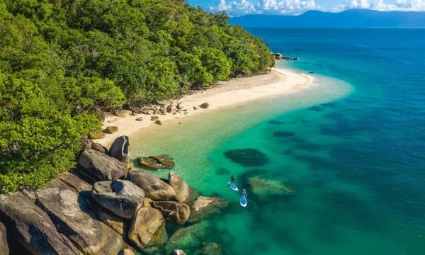 Fitzroy Island Stand up Paddle Board or Kayak Turtle Tour - 75 Minutes