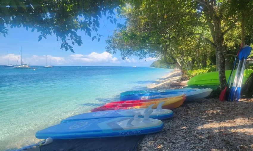 Fitzroy Island Stand up Paddle Board or Kayak Turtle Tour - 75 Minutes 