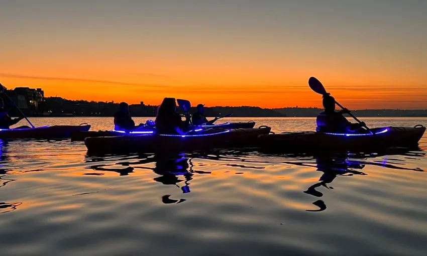 Sydney Sunset Kayak in Sydney Harbour, 1.5 Hours
