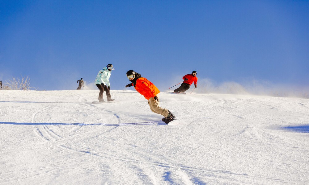 1 Day Perisher Snow Tour - Overnight Transfer from Sydney