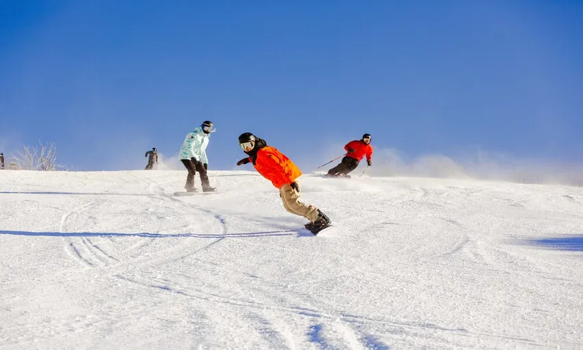 1 Day Perisher Snow Tour - Overnight Transfer from Sydney