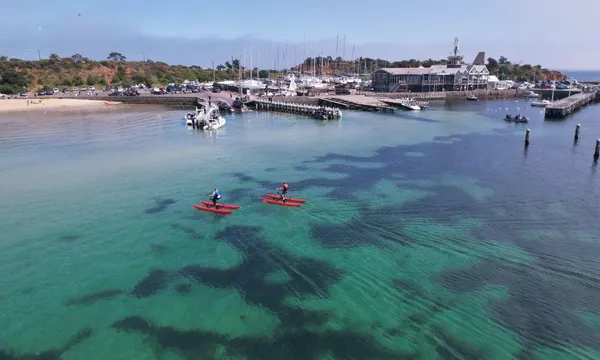 Mornington Waterbike Tour, 90 Minutes