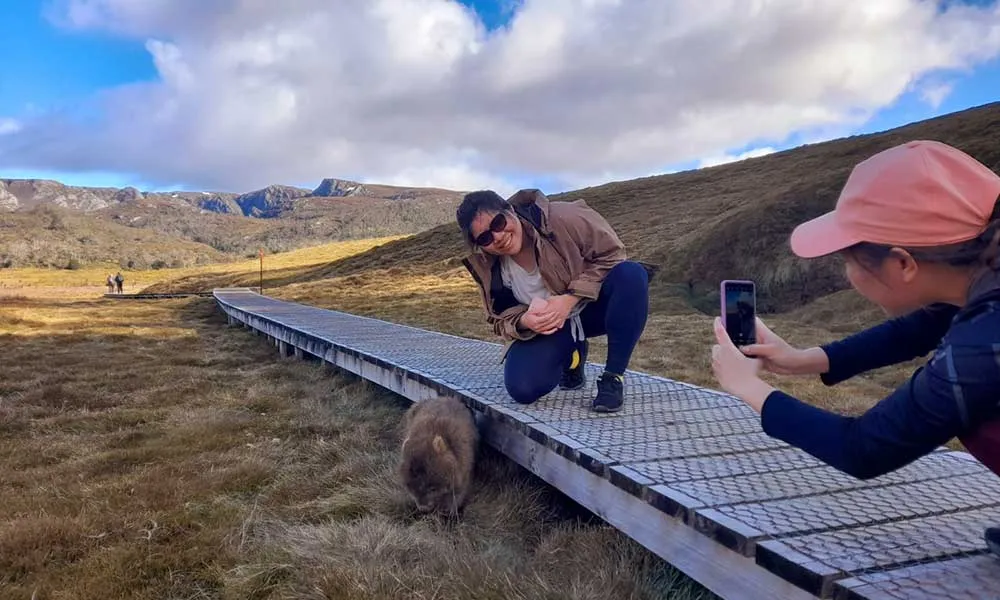 Cradle Mountain - Active Day Trip from Hobart