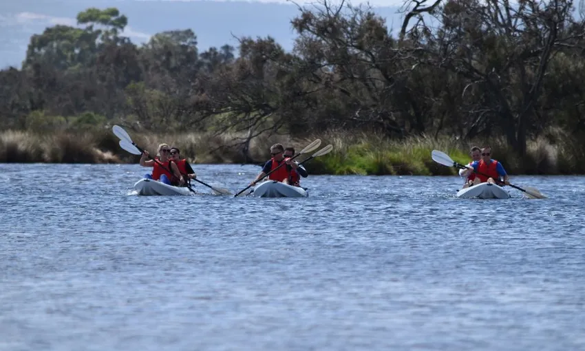 Kayaking Tour of Canning River Wetlands, 3 Hours
