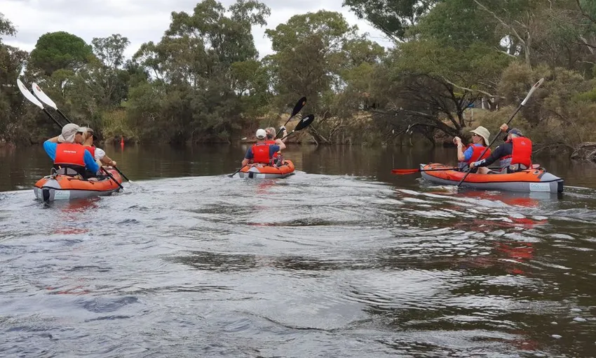 Swan River Kayak Adventure and Wine Tasting, 3 Hours