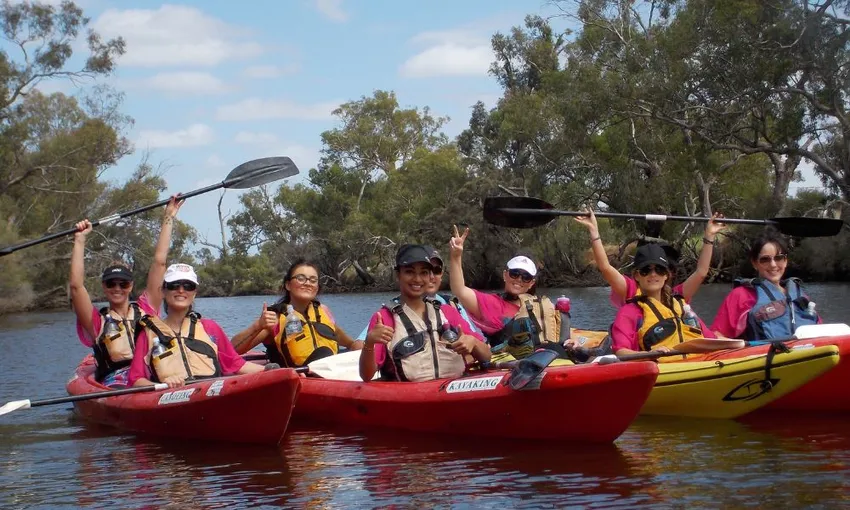 Perth Kayak Tour on the Canning River, Half Day