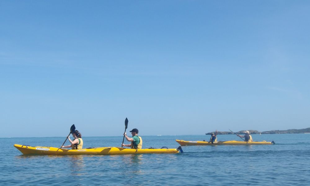 Kayaking Day Trip to Shoalwater Islands with Lunch