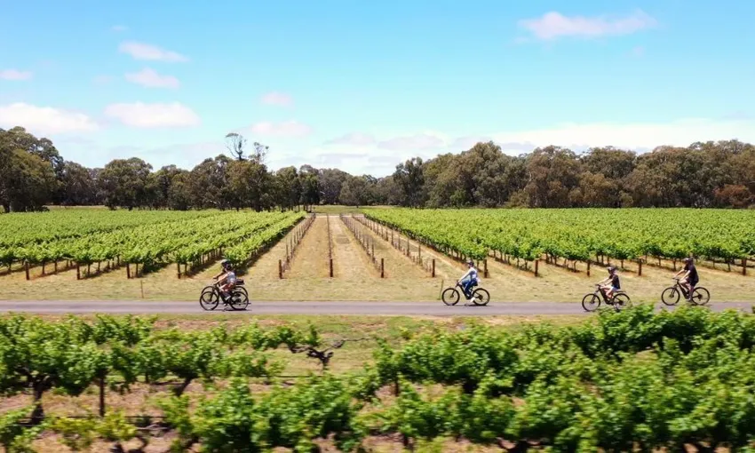 Hahndorf Self Guided Electric Bike Tour - 6 Hours