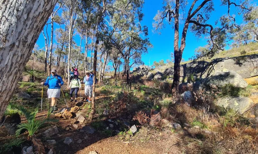 Perth Hills Hike, Wine & Dine Experience - 8 Hours