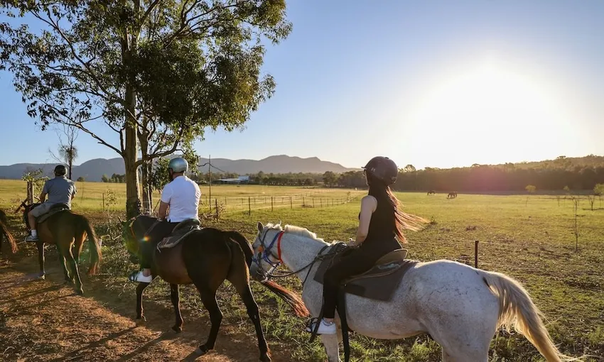Horseback Trail Ride - 90 Minutes - Vineyard & Mountain Views