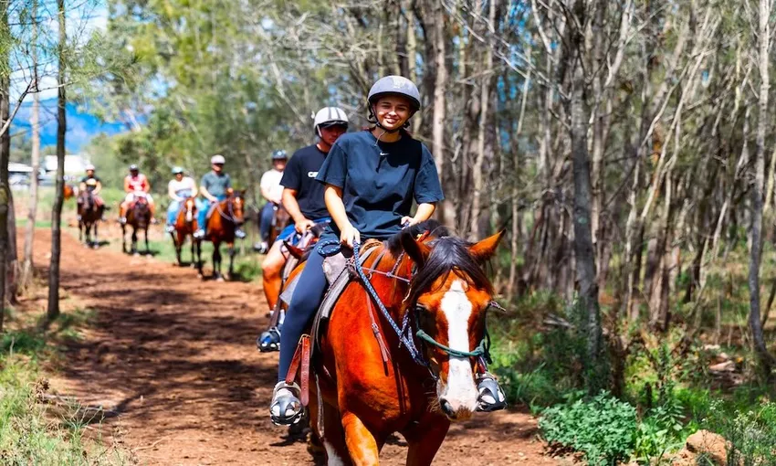 Horseback Trail Ride - 90 Minutes - Vineyard & Mountain Views