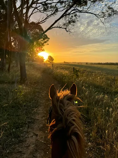 Horseback Trail Ride - 90 Minutes - Vineyard & Mountain Views