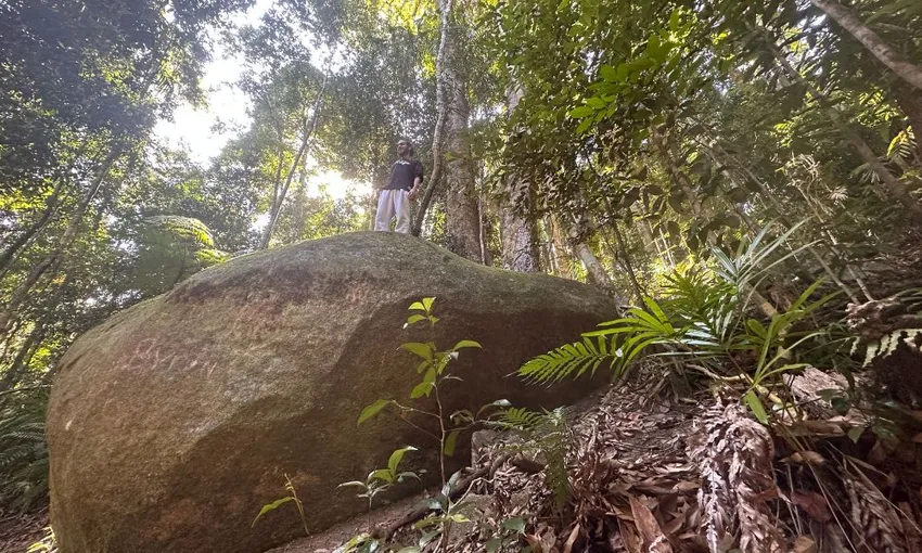 Finch Hatton Gorge Hike & Swim, 5 Hours - Mackay