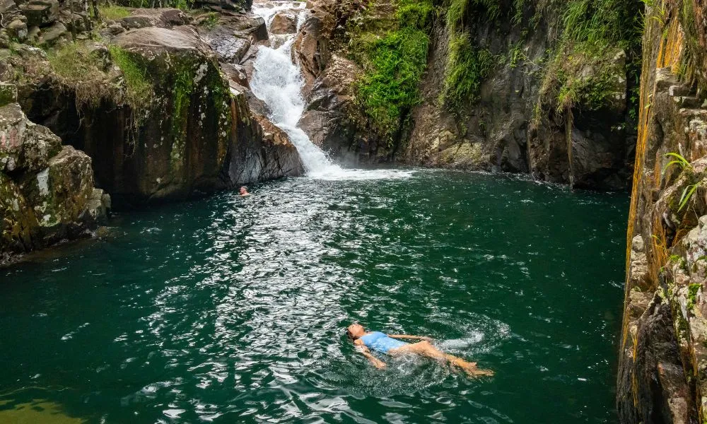 Finch Hatton Gorge Hike & Swim
