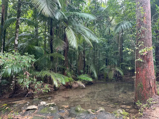 Finch Hatton Gorge Hike & Swim, 5 Hours - Mackay