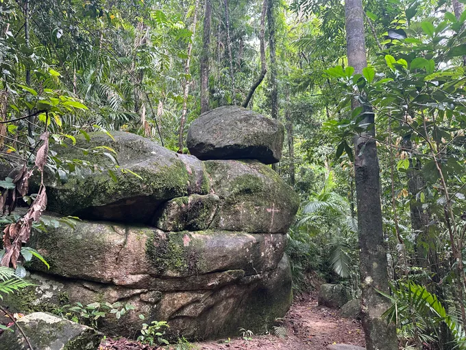 Finch Hatton Gorge Hike & Swim, 5 Hours - Mackay