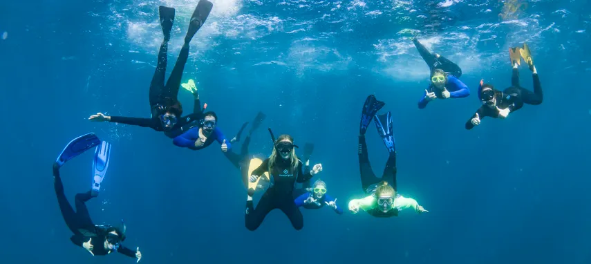 Ningaloo Powerboat Cruise and Swim with Humpback Whales